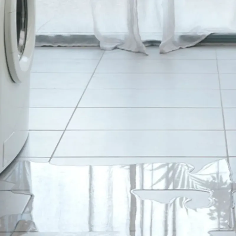 Appliance Leak Cleanup in Albany, IN
