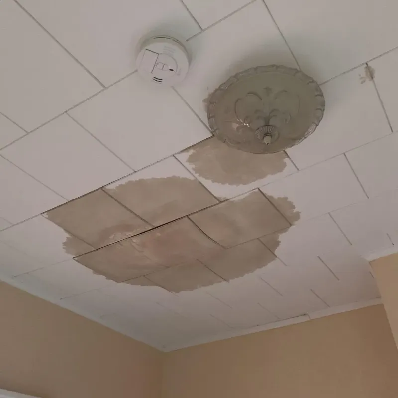 Ceiling Water Damage Repair in Albany, IN