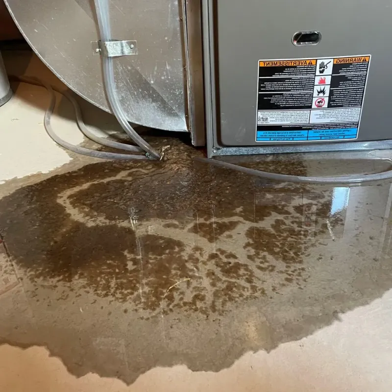 Pipe Burst and Leak Restoration in Albany, IN