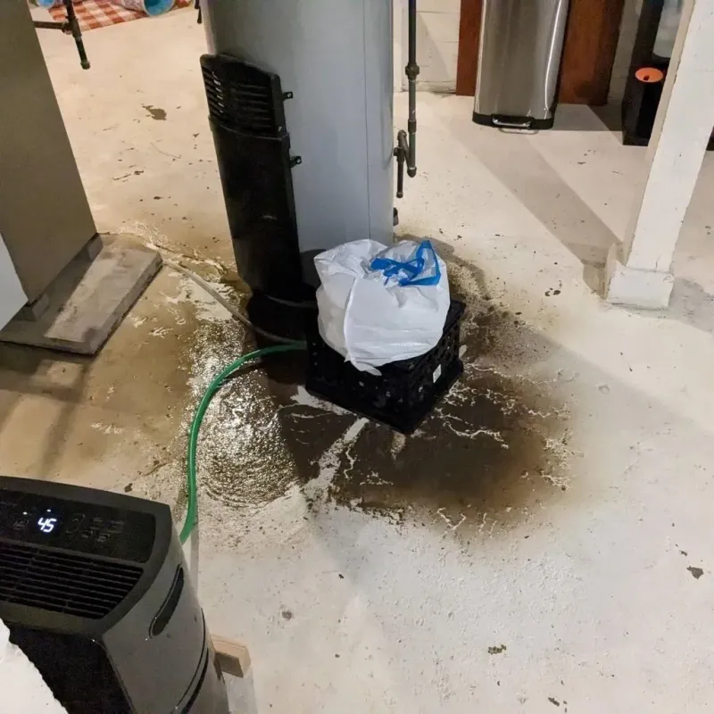 Sewage Backup Cleanup Service in Albany, IN